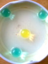 28316_1280338330027_1277121979_30636833_7631086_s[1].jpg