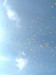 29166_1286822812135_1277121979_30651021_1582185_n[1].jpg